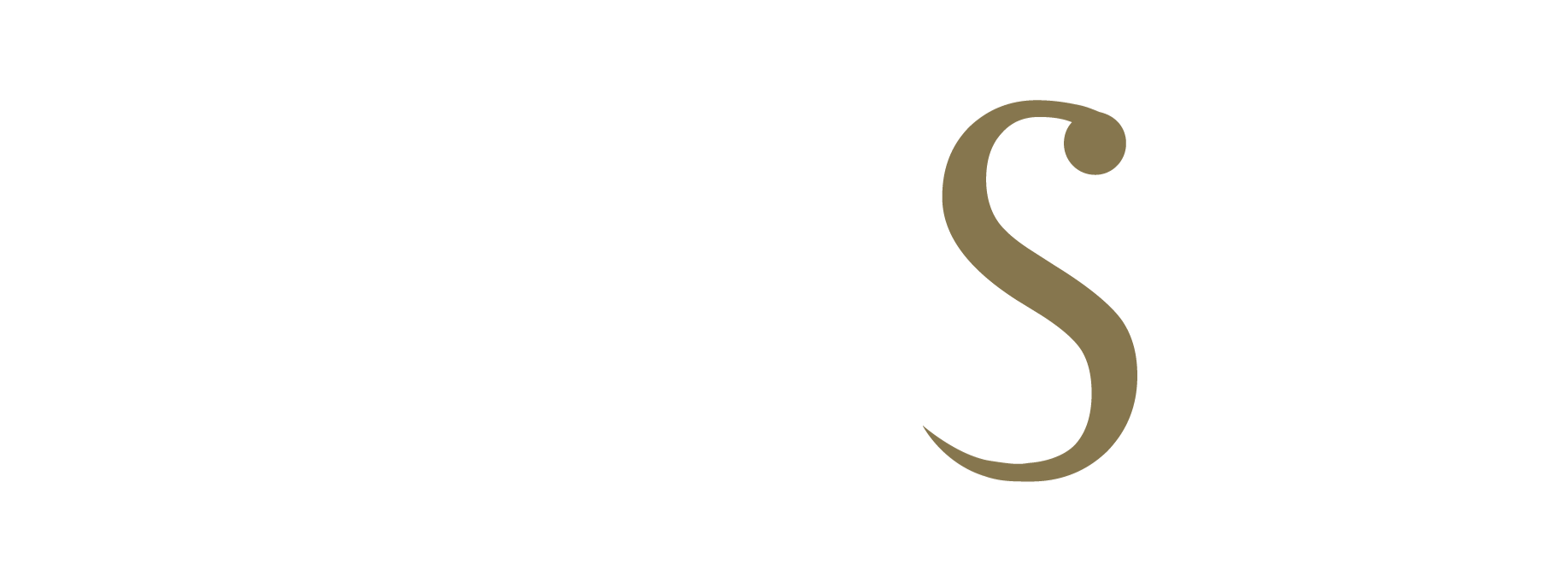 IVS logo
